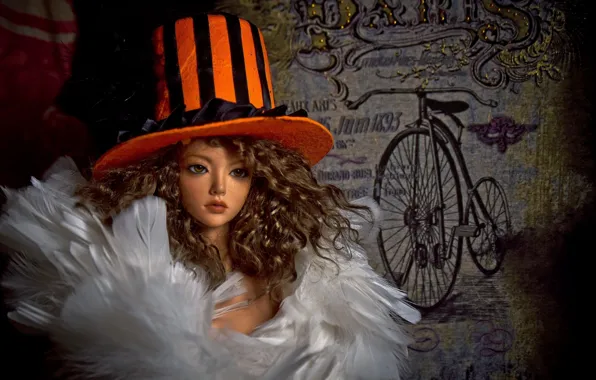 Picture toy, hat, doll, feathers