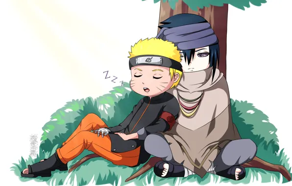 Download wallpaper tree, Naruto, Naruto, Sasuke Uchiha, Naruto Uzumaki ...