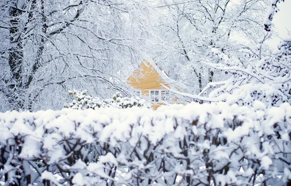 Winter, snow, trees, house, Norway, Oslo