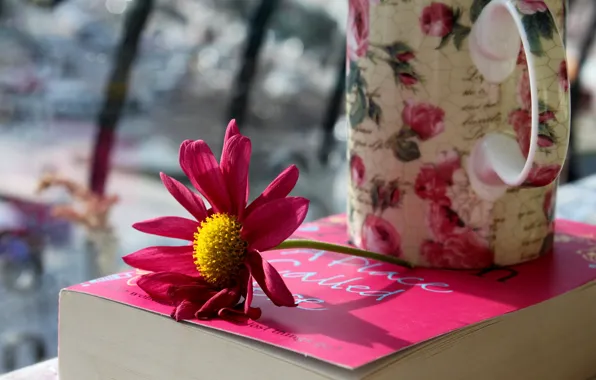 Flower, photo, petals, mug, Cup, book, pink