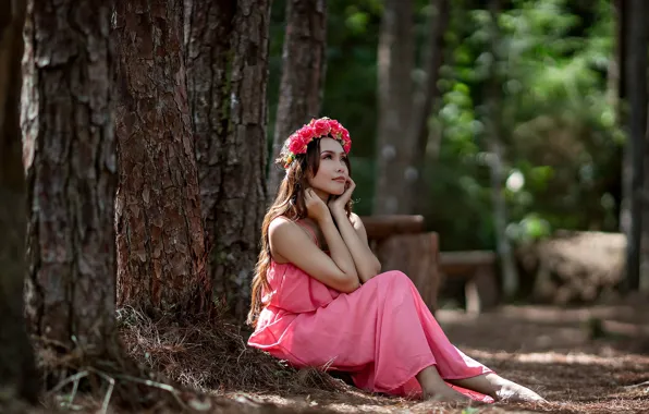 Picture summer, girl, nature