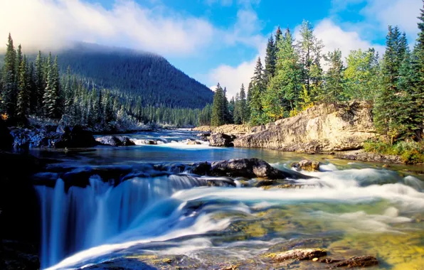 Picture forest, water, mountains, river, stones, waterfall, ate, beautiful