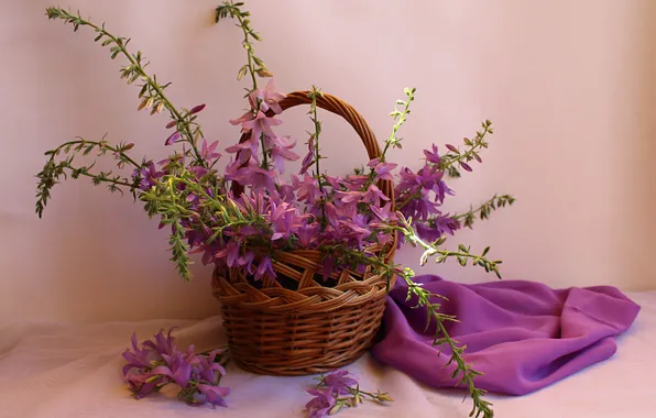 Summer, basket, still life, bells, wildflowers