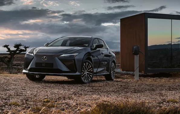 Picture Lexus, crossover, electric, Lexus RZ