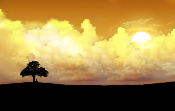 The sun, clouds, lonely tree