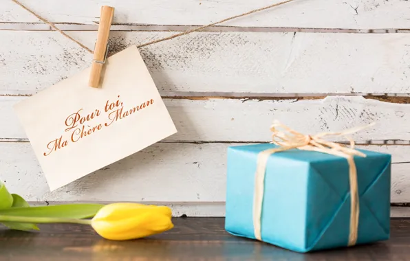 Picture holiday, gift, spring, tulips, March 8