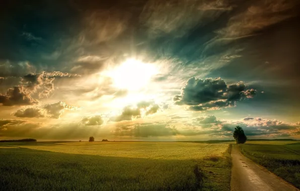 Picture ROAD, TREE, GRASS, The SKY, The SUN, CLOUDS, PLAIN, SUNSET