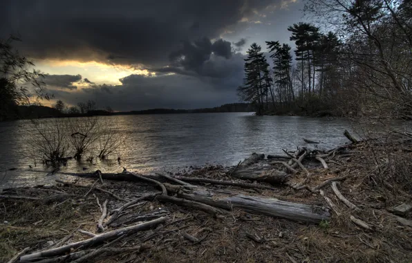 Trees, clouds, river, the evening