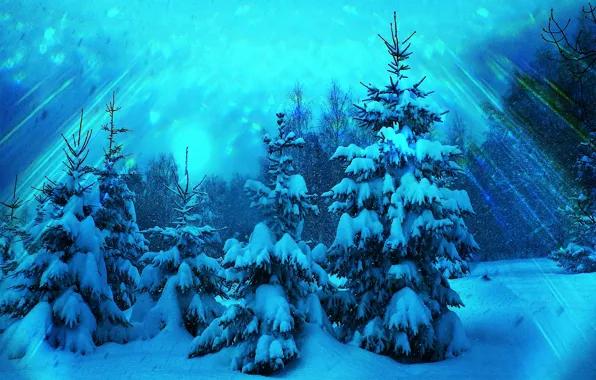 Picture winter, forest, rays, snow, trees, glare, blue, treatment