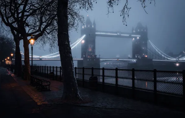 Trees, night, bridge, lights, fog, river, England, London