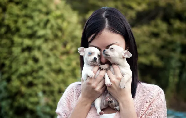 GIRL, PAIR, HANDS, BROWN hair, FACE, PUPPIES