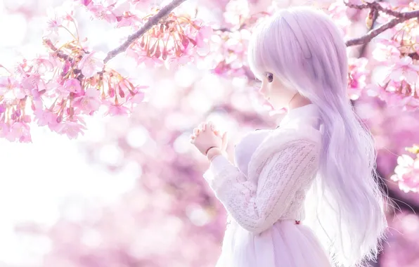 Picture flowers, cherry, toy, doll, lilac, long hair