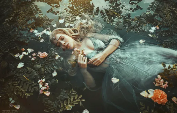 Picture leaves, water, girl, flowers, pose, mood, the situation, hands