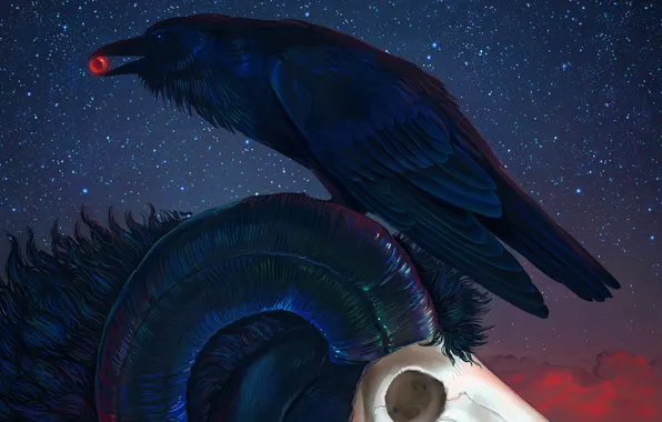 Picture stars, night, skull, Raven, horns