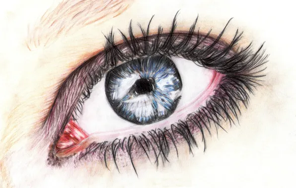 Picture eyes, eyelashes, pencil, painting