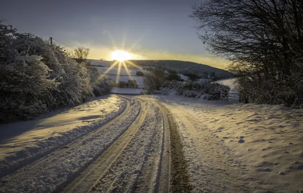 Winter, road, snow, landscape