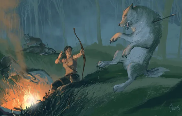 Picture forest, girl, bow, art, wolves, arrow, Tomb Raider