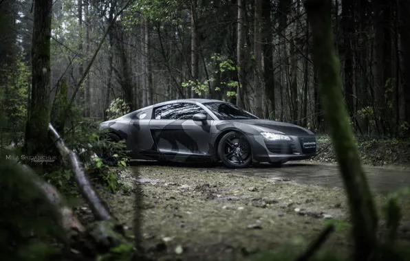 Car, machine, auto, forest, fog, rain, Audi, audi