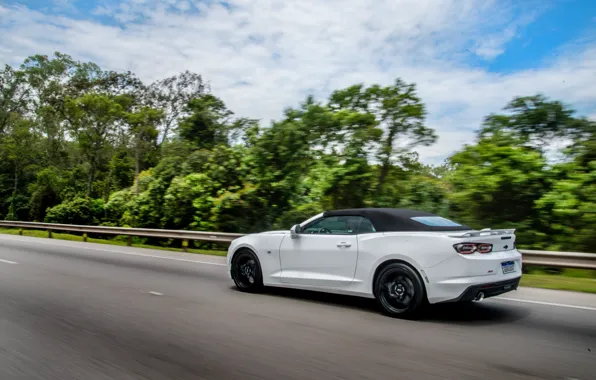 Picture car, Chevrolet, Camaro, road, speed, Chevrolet Camaro SS Convertible