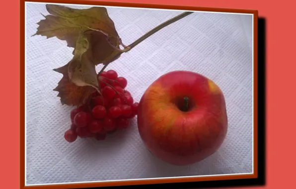 Leaves, Apple, still life, autumn, Kalina