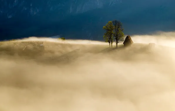 Picture mountains, nature, fog, field, morning