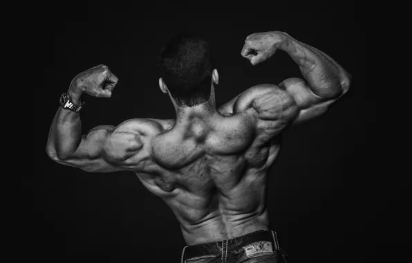 Back Muscle, back pose HD wallpaper | Pxfuel