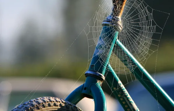 Web, 158, Bike