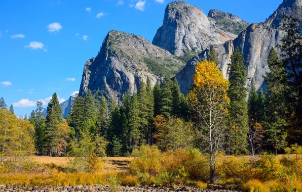 Autumn, forest, the sky, trees, mountains, Park, stones, rocks