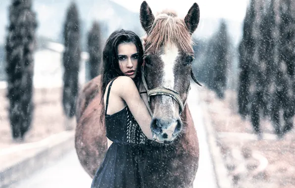 Picture girl, snow, horse, Alessandro Di Cicco, Keep me warm