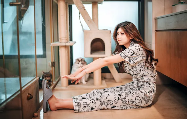 Look, cats, Asian, sitting