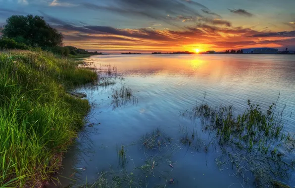 Picture grass, sunset, lake, shore, dal, ruffle