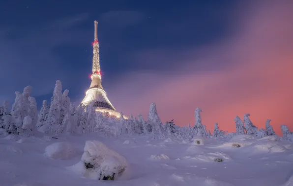 Picture winter, snow, trees, landscape, night, nature, ate, Czech Republic