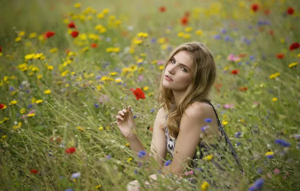 Picture field, summer, look, girl