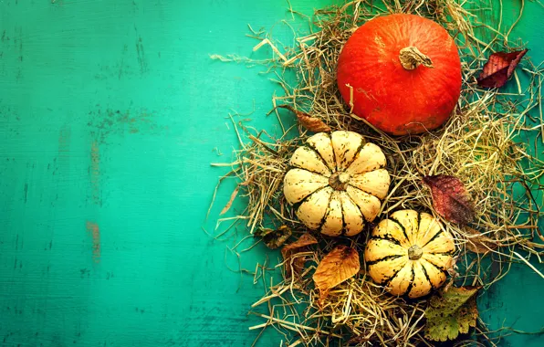 Hay, pumpkin, the gifts of autumn