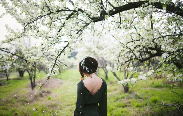 Picture girl, spring, flowering, wreath