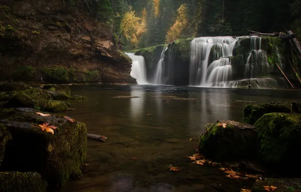 Autumn, forest, nature, lake, waterfall