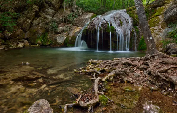 Forest, roots, river, stones, tree, waterfall