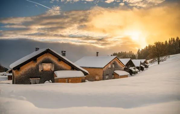 Winter, forest, the sky, the sun, clouds, snow, sunset, in the snow