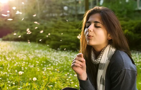 Picture grass, girl, scarf, brown hair, dandelions