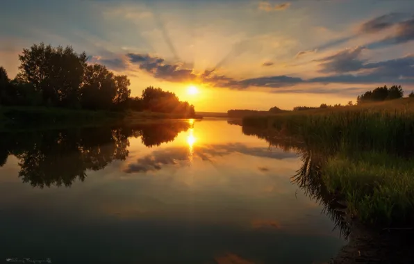 Picture the sky, rays, trees, sunset, nature, river, the evening, Agoranov Alex