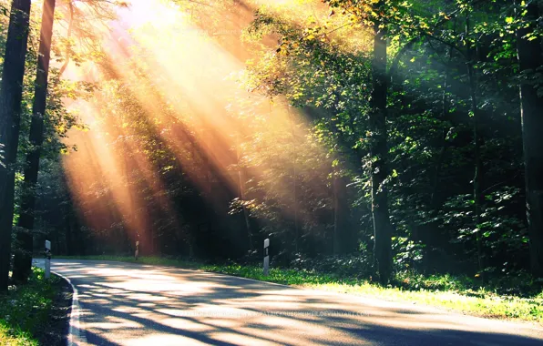 Road, summer, light, turn, the sun's rays