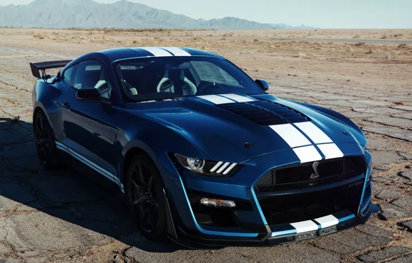 Blue, Mustang, Ford, Shelby, GT500, 2019, old asphalt