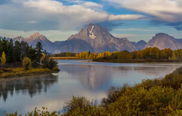 Picture forest, mountains, lake, USA, Grand Teton National Park