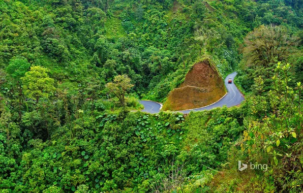 Road, forest, trees, mountains, Costa Rica, Arenal Volcano National Park