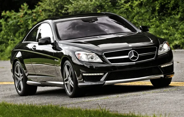 Road, grass, black, coupe, mercedes-benz, Mercedes, the bushes, the front