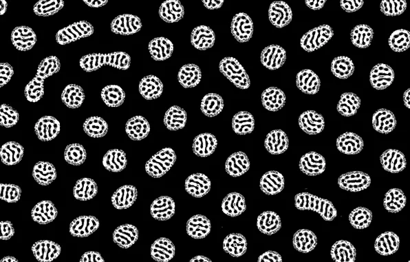Black background, microbes, tatasz, by tatasz