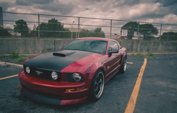 Mustang, Ford, Parking, GT, 2005-2010