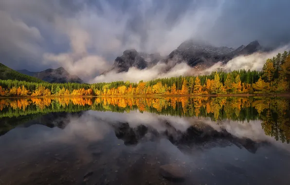 Autumn, forest, clouds, mountains, fog, lake, reflection, shore