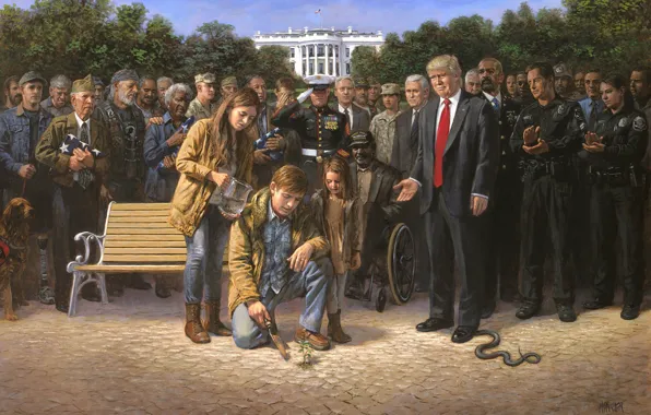 Picture veteran, Washington, presidents, USA, Capitol, The white house, Donald Trump, Trump