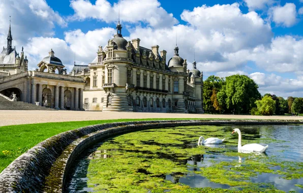 Picture the sky, clouds, trees, pond, castle, Swan, Palace